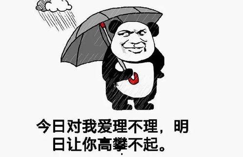 今天你高攀不起,揭秘社会阶层固化背后的真相